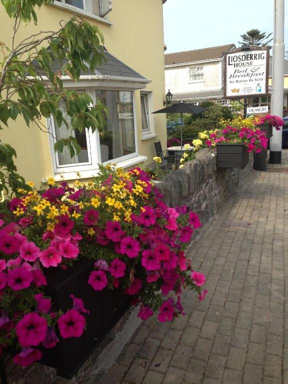 Liosderrig House B&B Glenbeigh Exterior foto